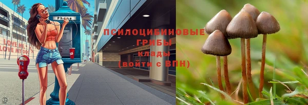 синтетический гашиш Богданович