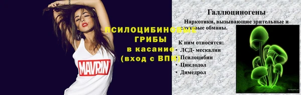 бошки Сясьстрой